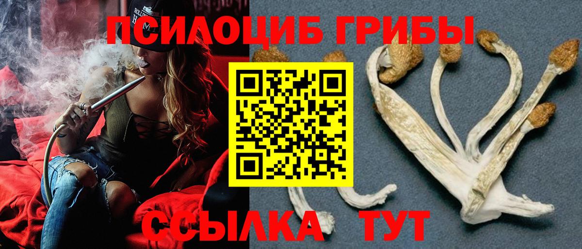 Галлюциногенные грибы Cubensis Брянск