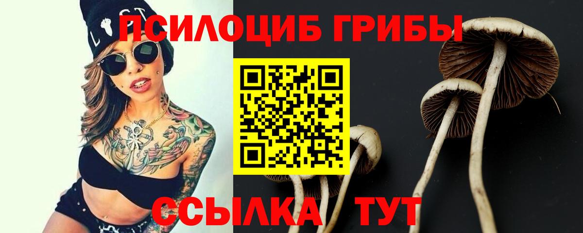 Брянск  Псилоцибиновые грибы мухоморы  Галлюциногенные грибы мухоморы  Вход с VPN 